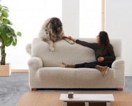 Roque always_visible