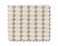 color_d_text_Arkansas